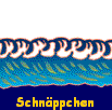  Schnppchen 